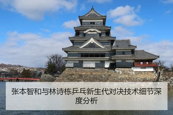 张本智和与林诗栋乒乓新生代对决技术细节深度分析